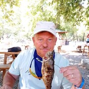  ,   , 62 ,   ,   