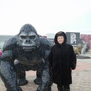  ,   , 55 ,   c 
