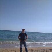 ���������� ������, ���� ������� Dinoel, 47 ���, ������������ ��� ������, ����� � ���������, c�������� ���������, ���������