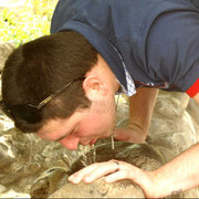 ���������� �������, ���� ������� Imedo, 38 ���, ������������ ��� ������, ����� � ���������, c�������� ���������