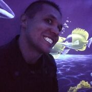 ���������� ����������, ���� ������� �������, 30 ���, ������������ ��� ������, ����� � ���������