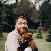 ���������� ������, ���� ������� ����, 33 ����, ������������ ��� ������, ����� � ���������, c�������� ���������