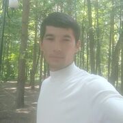 ���������� ������, ���� ������� ���������, 33 ����, ������������ ��� ������, ����� � ���������