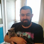 ���������� ���������������, ���� ������� ���������, 44 ����, ������������ ��� ������, ����� � ���������, c�������� ���������