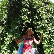 ���������� ���������, ���� ������� ��������, 50 ���, ������������ ��� ������, ����� � ���������, c�������� ���������