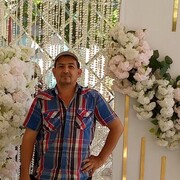 ,       , 53 ,   