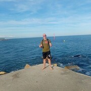  Mysliborz,  , 31