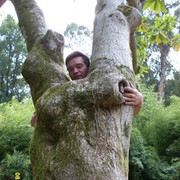 ���������� �����, ���� ������� Jekson, 46 ���, ������������ 