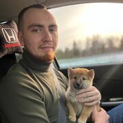 ���������� ������������, ���� ������� ������, 31 ���, ������������ ��� ������, ����� � ���������