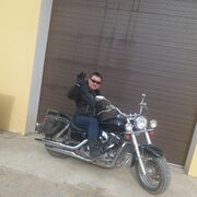  ,   Arctic Fox, 49 ,   ,   , c , 