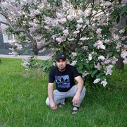 -,   , 41 ,   ,   