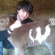 ���������� ������, ���� ������� ����, 33 ����, ������������ ��� ����� � ���������, c�������� ���������