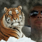 ���������� �������, ���� ������� ����������, 43 ����, ������������ ��� ������, ����� � ���������, c�������� ���������, ���������