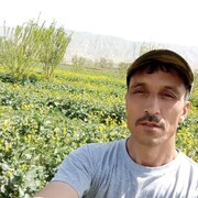   ,   Toj, 48 ,   ,   , c 