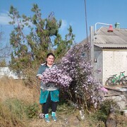  ,   , 52 ,   ,   