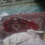  ,   , 37 ,   ,   , c , 
