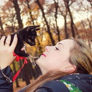 ���������� �����, ���� ������� ��������, 39 ���, ������������ ��� ����� � ���������, c�������� ���������