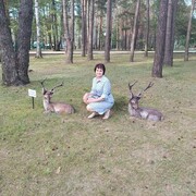  ,   , 57 ,     , c , 