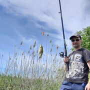 ���������� ������, ���� ������� ���������, 40 ���, ������������ ��� ������, ����� � ���������