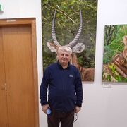 ���������� ������, ���� ������� ������, 61 ���, ������������ ��� ������, ����� � ���������, c�������� ���������