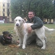  ,   , 36 ,  