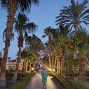 ���������� ������, ���� ������� �����, 55 ���, ������������ ��� c�������� ���������