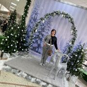 ���������� ����������, ���� ������� �������, 43 ����, ������������ ��� ������, ����� � ���������