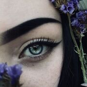  -,   , 27 ,   ,   , 
