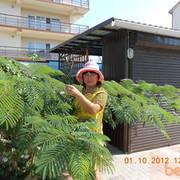  ,   , 60 ,   ,   , c 