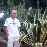  ,   Willi, 56 ,     , c 