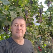  ,   , 51 ,   ,   , c 