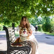 ���������� ������-��-����, ���� ������� ����, 36 ���, ������������ ��� c�������� ���������