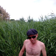  ,   , 47 ,   