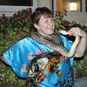 ���������� ������������, ���� ������� �����, 54 ����, ������������ ��� c�������� ���������