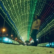  ,   , 24 ,   ,   