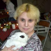 ���������� �����������, ������� �������, 42