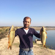  ,  Werxan, 37