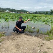 ���������� ���������, ���� ������� ��������, 41 ���, ������������ ��� ������, ����� � ���������, c�������� ���������