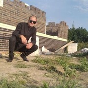  ,   , 31 ,     , c , 