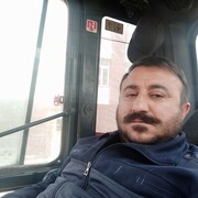 ���������� ��������, ���� ������� ����, 46 ���, ������������ ��� ����� � ���������, c�������� ���������