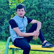 ���������� �����-���������, ���� ����� Shox, 24 ����, ������������ ��� ������, ����� � ���������