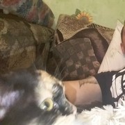  ,   , 38 ,  