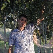  ,   , 33 ,   ,   , c 