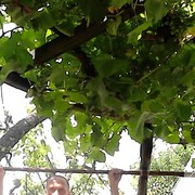  ,   , 43 ,   ,   , c 