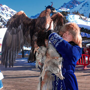 ���������� ������, ���� ����� ����, 25 ���, ������������ ��� ���������