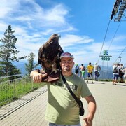 ���������� �����, ���� ������� �����, 32 ����, ������������ ��� ������, ����� � ���������