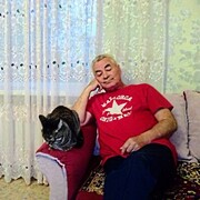  ,   , 58 ,   c 