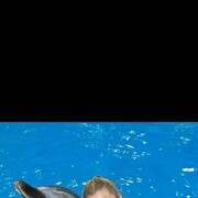 ���������� ������, ���� ������� �����, 43 ����, ������������ ��� ������, ����� � ���������