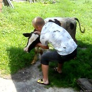  ,   Max, 38 ,   