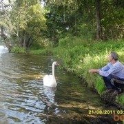 ������ �������� ���� 2011 �.